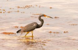 Good fishing today! Nikon D200 by Michael Salcito 